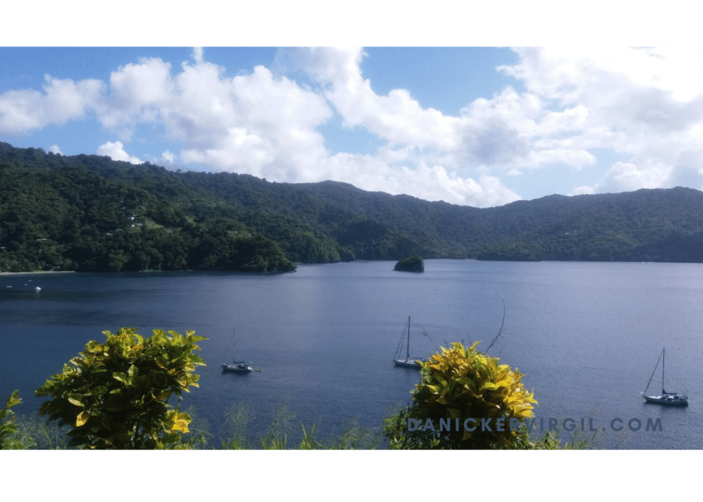 The cold hearted | Danicker Virgil