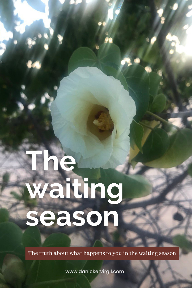 the waiting season